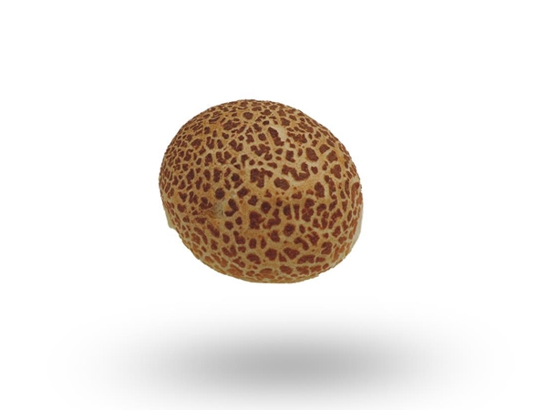 Giraffe broodje krokant